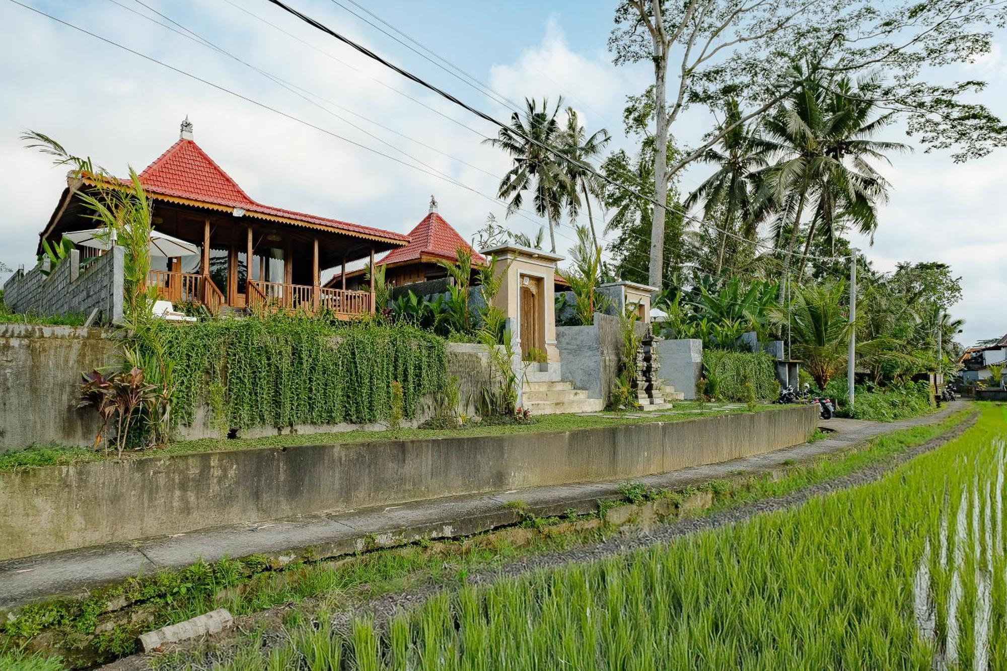 Carik Mesari Villas Ubud Kültér fotó